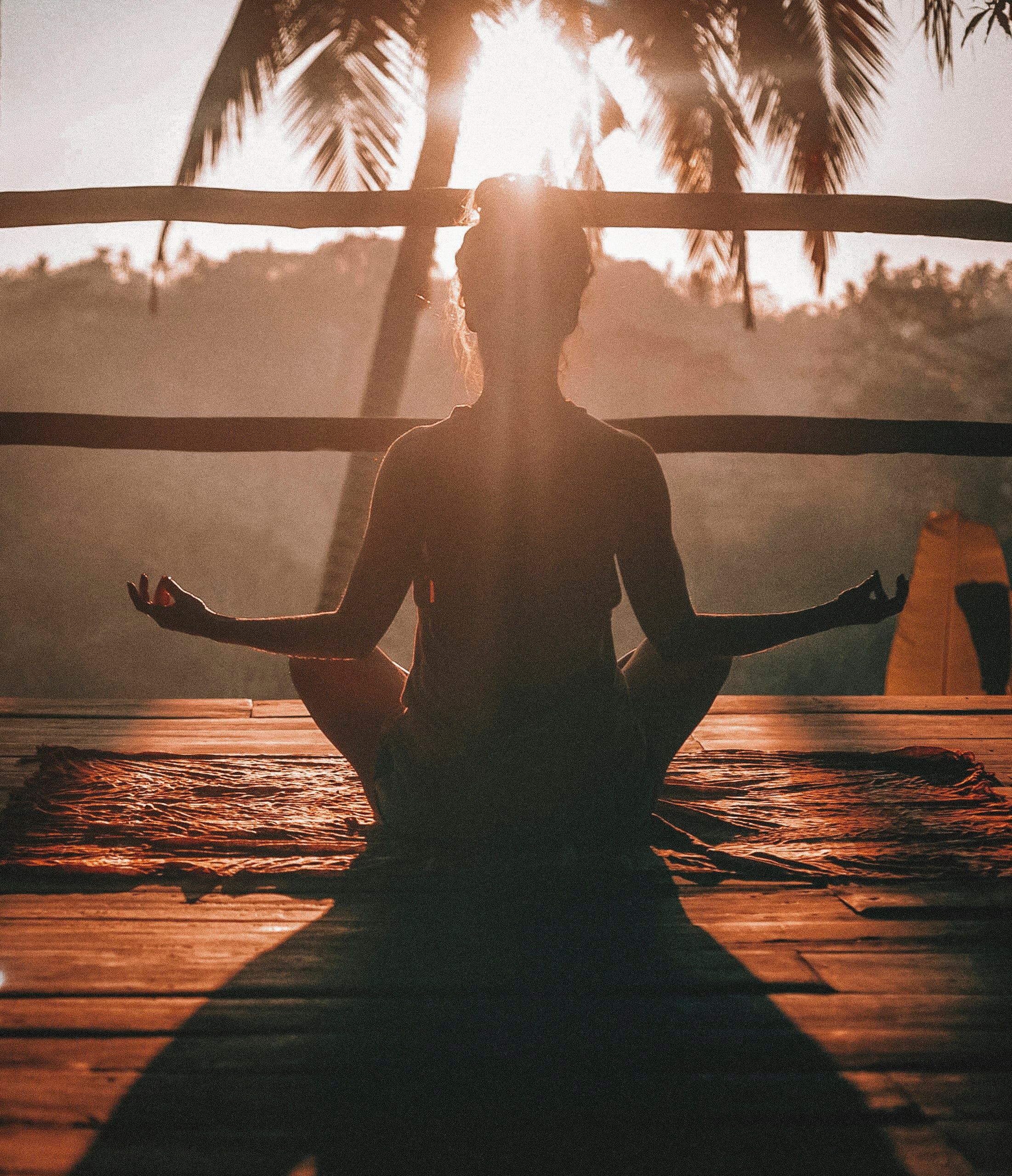 Wellness & Mindfulness Workshop